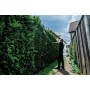 Насадка-кущоріз Metabo MA-HS 50 - фото 15